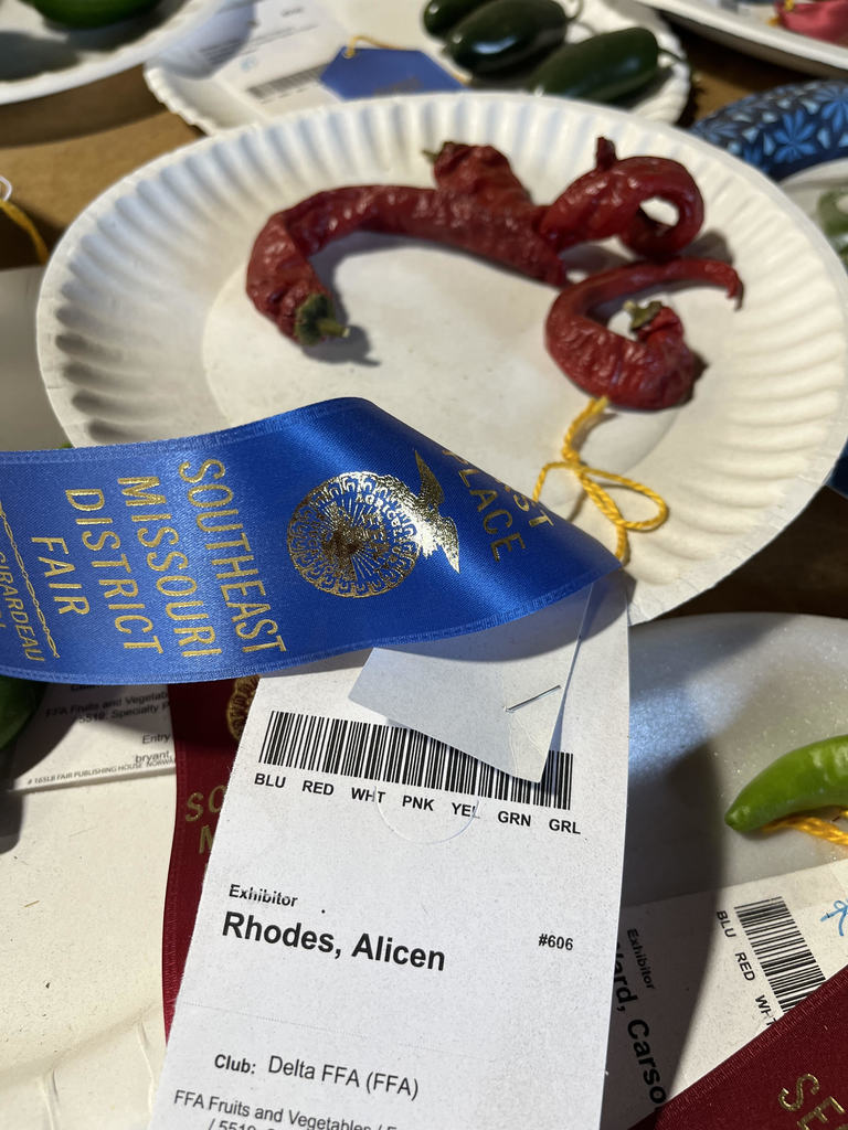 Delta FFA Chapter Treasurer Alicen Rhodes received a Blue ribbon for her specialty peppers at the 2022 SEMO District Fair.